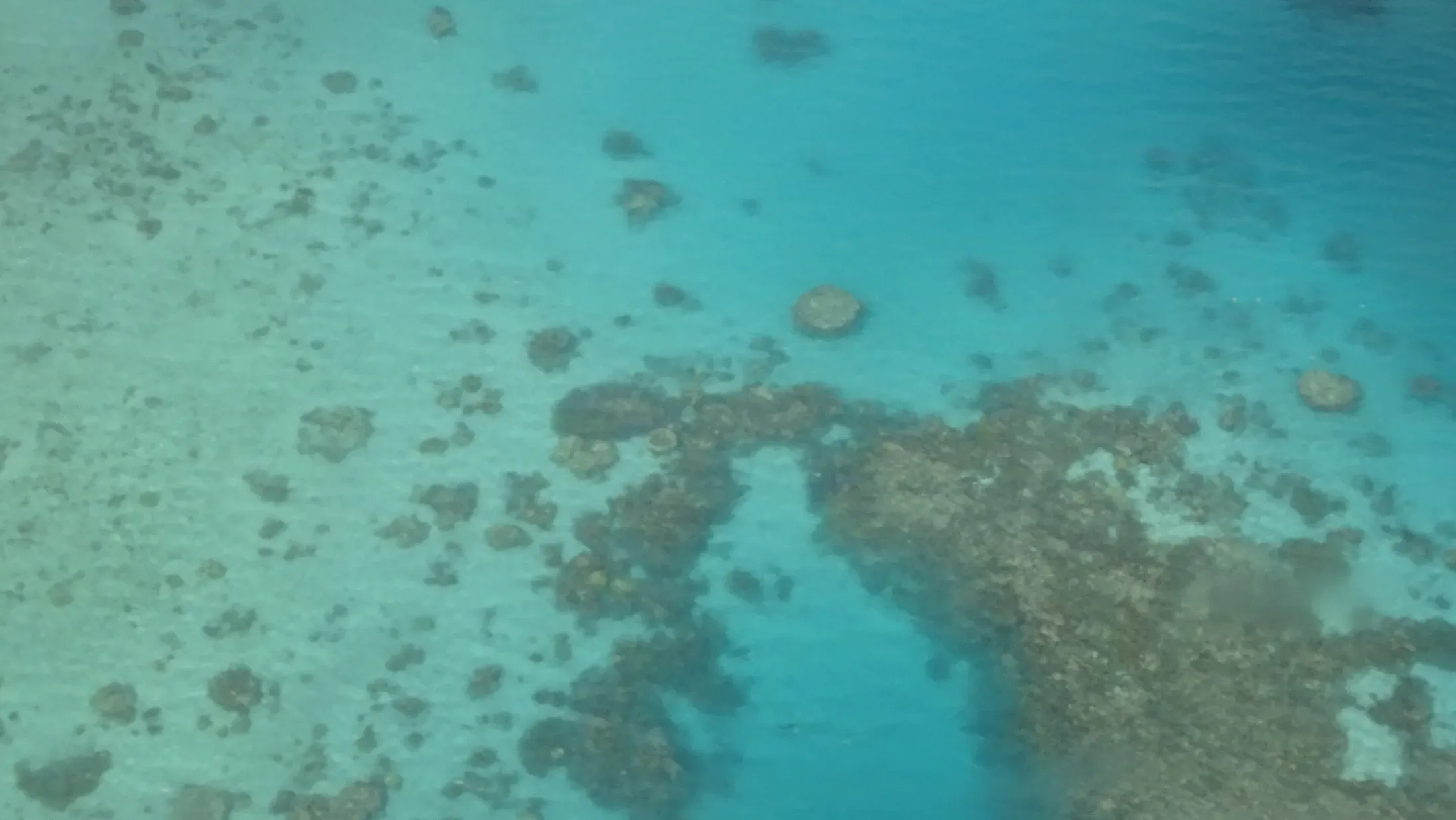 Reef at Wallis