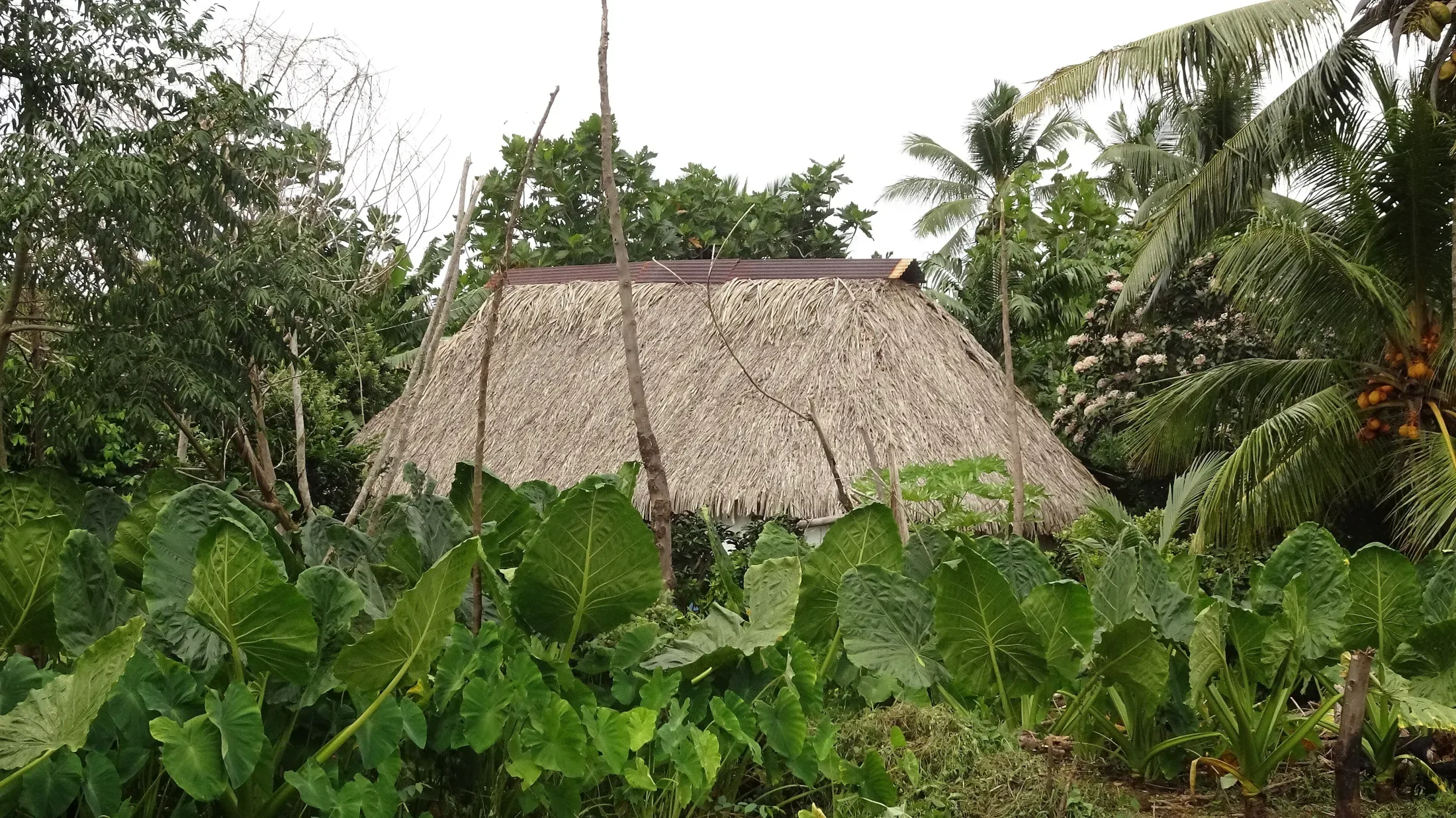 Traditional Fale in Mata-Utu