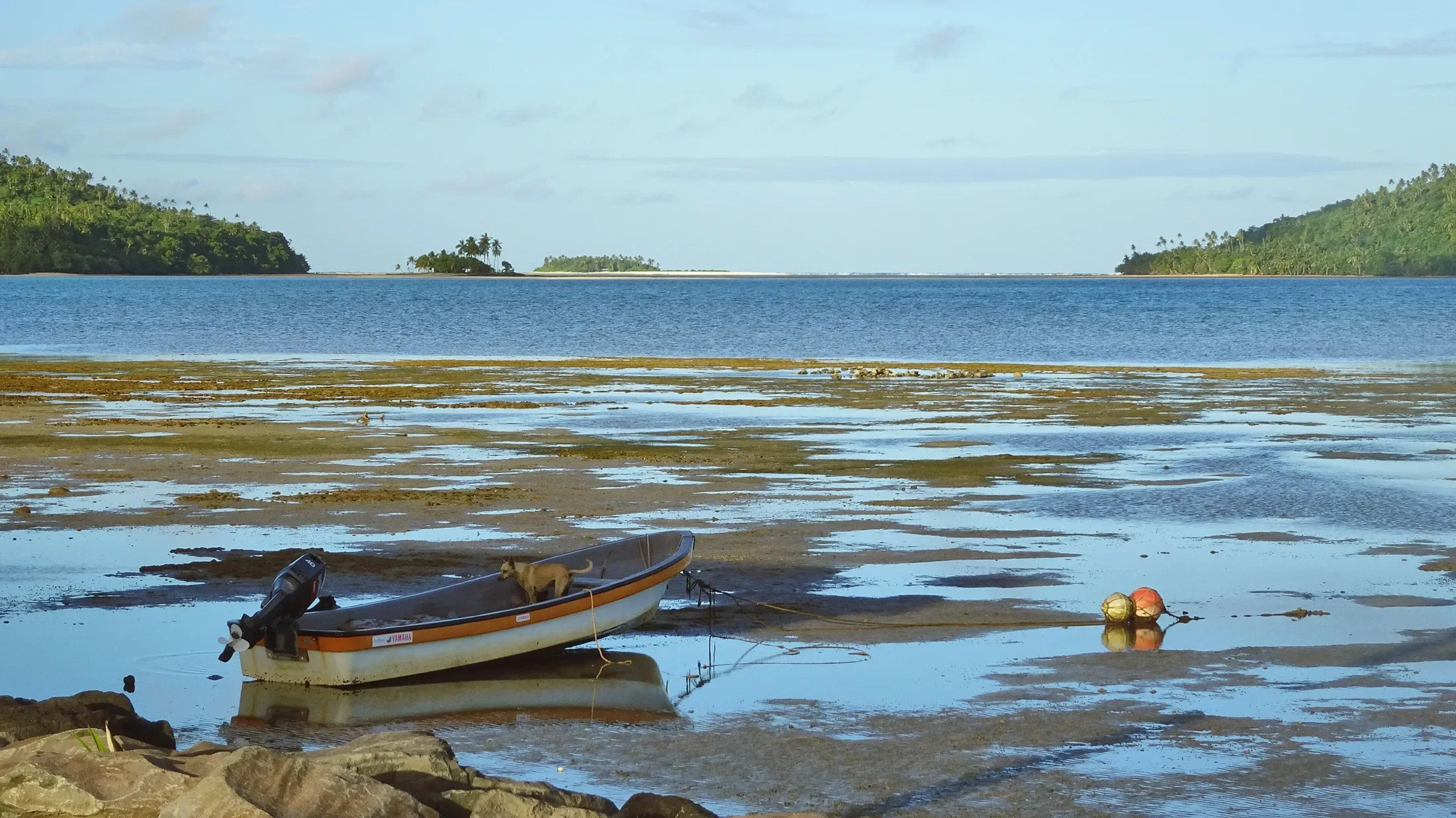 Central Wallis Coast at Liku