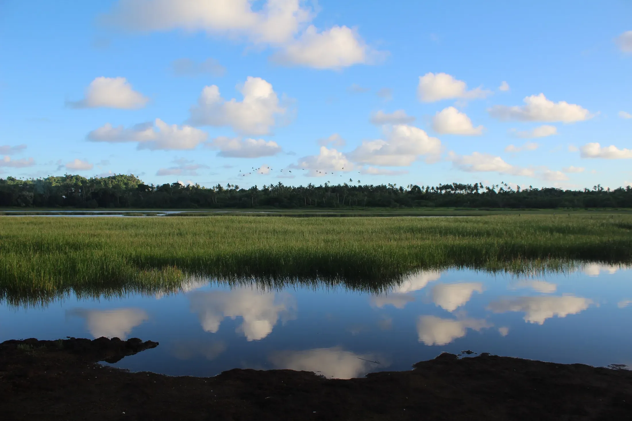 Lake Kikila Hidden in Forest
