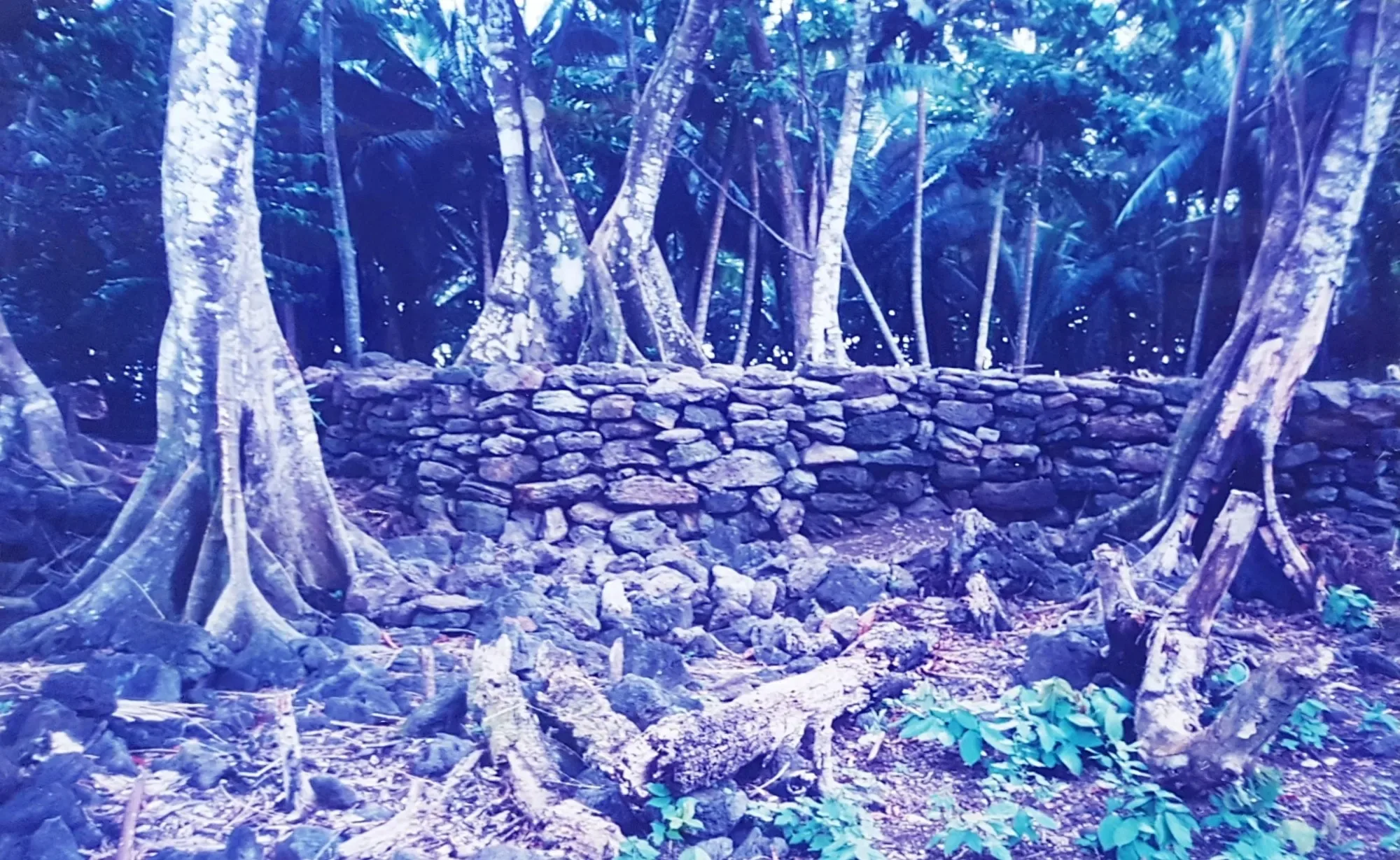 Talietumu on Uvea (Wallis)