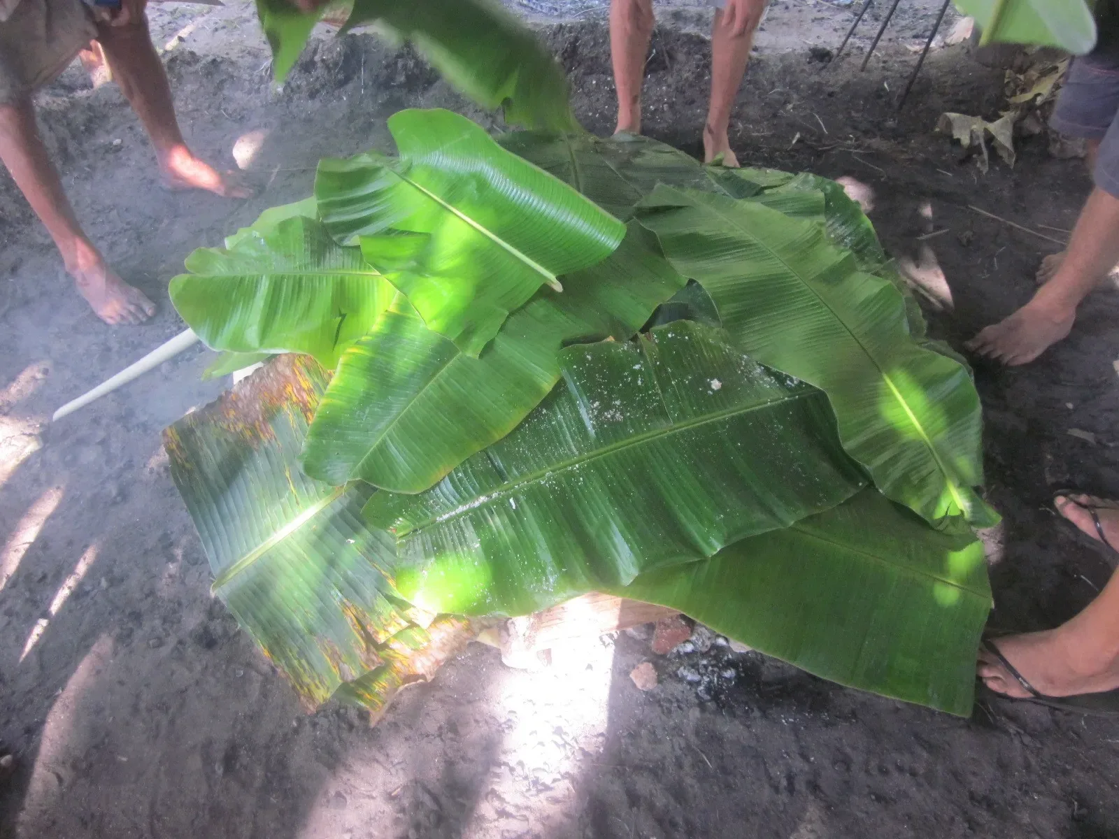 Earth Oven Covered with Banana Leaves